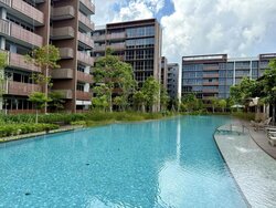 Pasir Ris Drive 8 (D18), Condominium #456672241